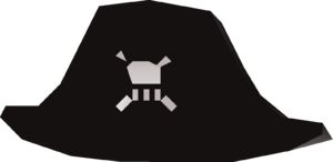 Big pirate hat detail.png