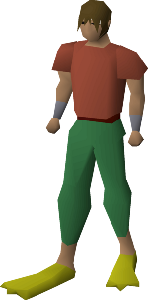 Flippers equipped male.png