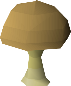Mushroom detail.png