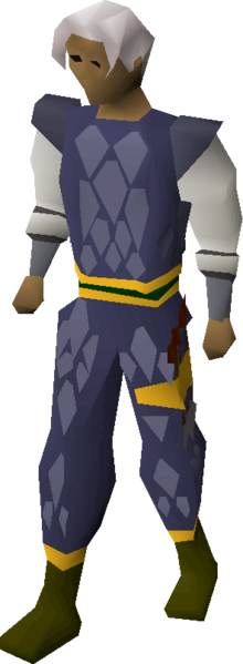 File:Blue d'hide (g) set equipped.png