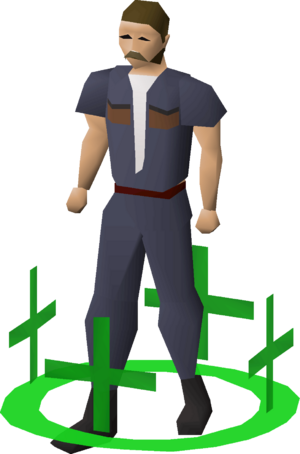 Healer icon (13) v1 equipped.png