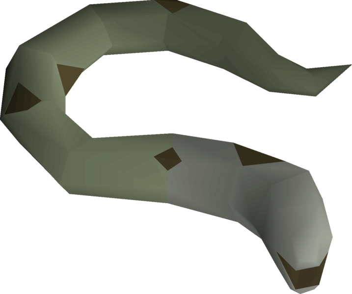 File:Mottled eel detail.png