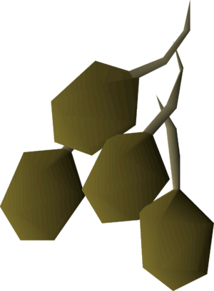 Potato seed 4 detail.png