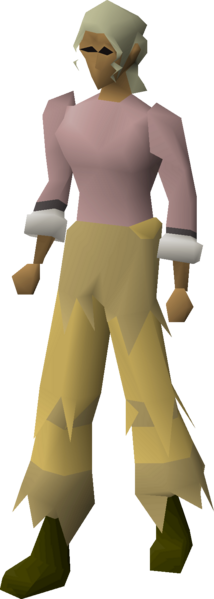 File:Desert camo legs equipped female.png