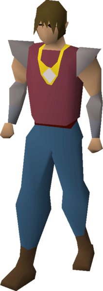 File:Diamond necklace equipped.png