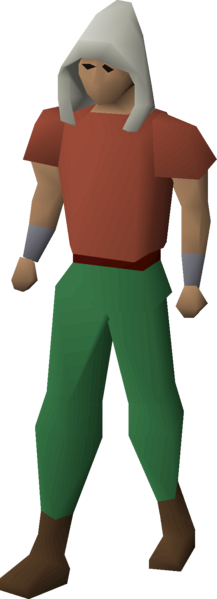 File:Runecraft hood equipped.png