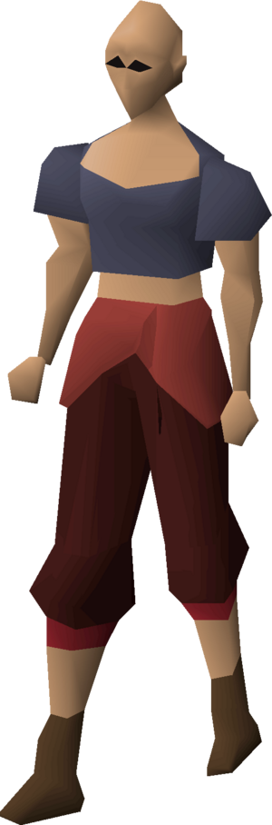 Trailblazer reloaded trousers (t2) equipped female.png