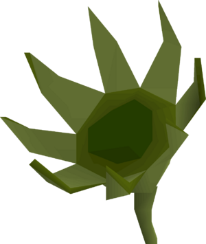 Troll thistle detail.png