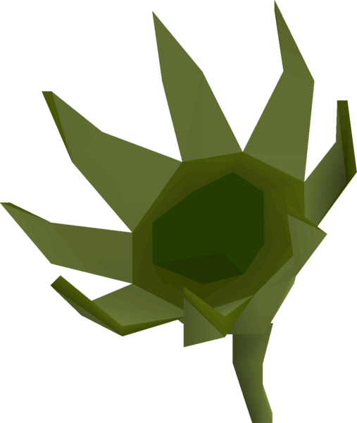 File:Troll thistle detail.png