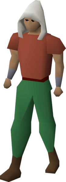 File:Hitpoints hood equipped.png