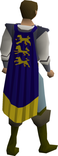 File:Champion's cape equipped male.png