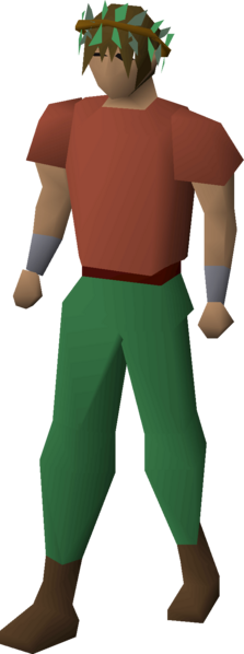 File:Druidic wreath equipped male.png