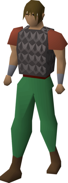 File:Iron chainbody equipped male.png