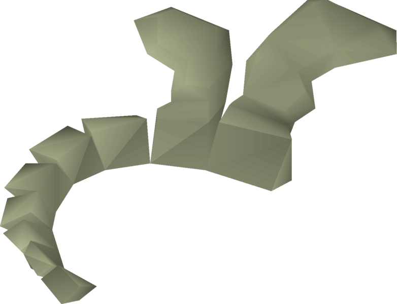 File:Medium fossilised spine detail.png