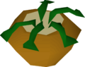 Thumbnail for version as of 19:28, 14 October 2024