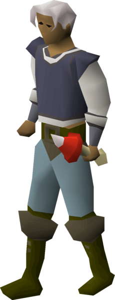 File:Fairy mushroom equipped.png