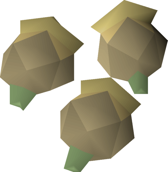 File:Celastrus seed 3 detail.png