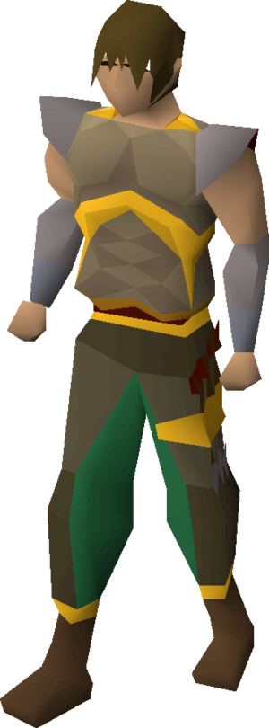 Leather armour (g) equipped.png