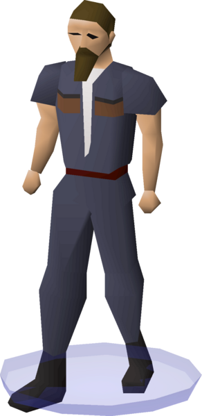 File:Clan wars cape (PVP Championship Blue 4) equipped.png