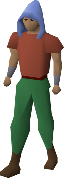 File:Defence hood equipped.png