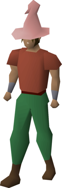 File:Pink hat equipped male.png
