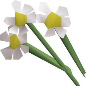 White flowers detail.png