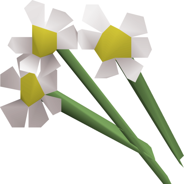 File:White flowers detail.png
