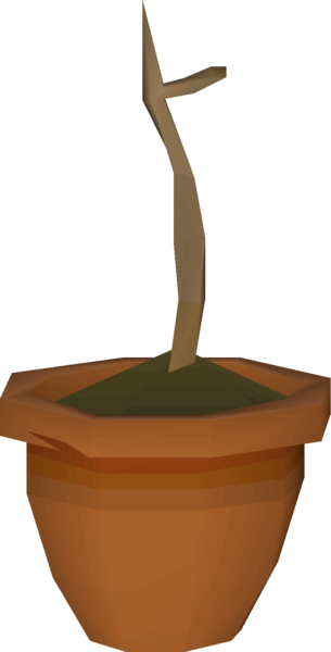 File:Auguste's sapling detail.png