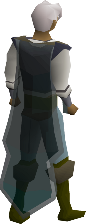 Xeric's guard equipped.png