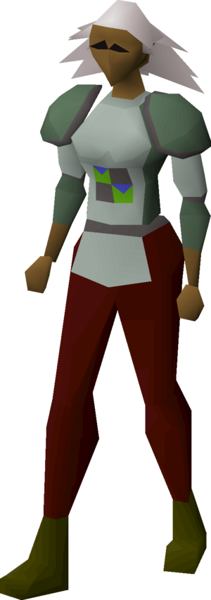 Adamant platebody (h5) equipped female.png