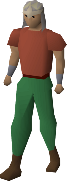 File:Bandos coif equipped male.png