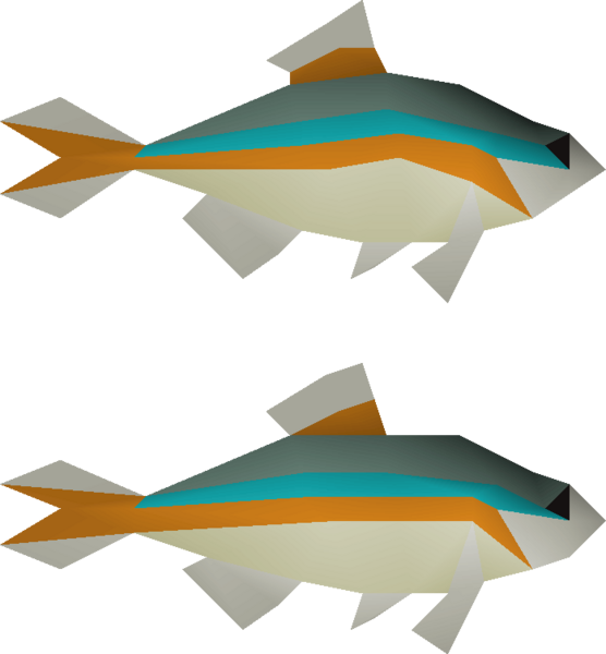 File:Minnow 2 detail.png