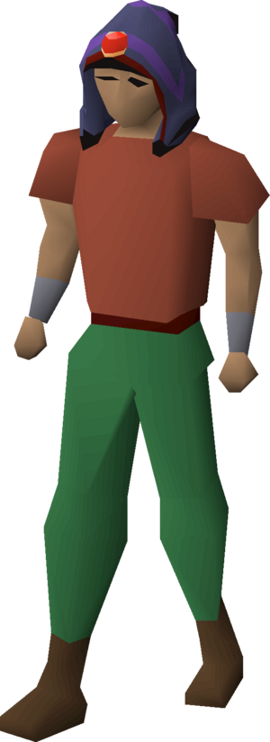 Ardougne max hood equipped.png