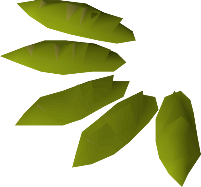 File:Willow seed detail.png