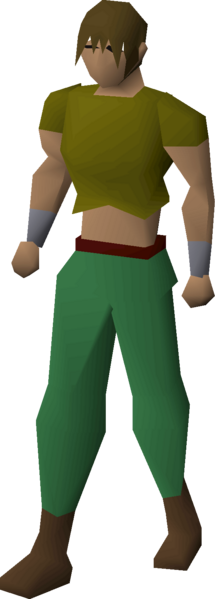 File:Woven top (brown) equipped male.png