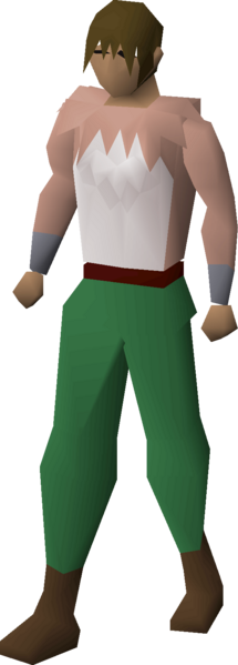 File:Bunny top equipped male.png