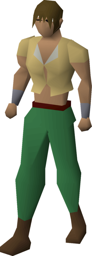 Shirt (yellow) equipped male.png