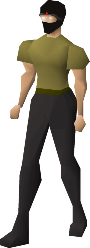 Shayzien helm (1) equipped female.png