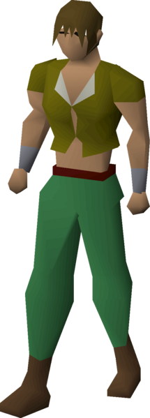 File:Shirt (brown) equipped male.png