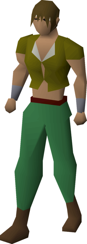 Shirt (brown) equipped male.png