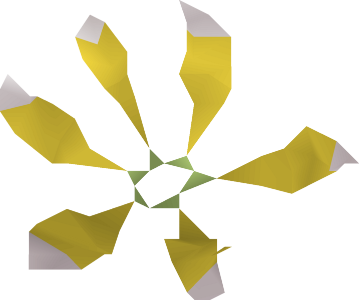 File:Star flower detail.png