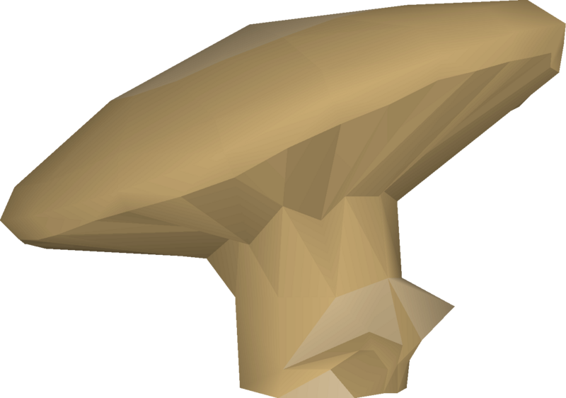 File:Fossilised mushroom detail.png