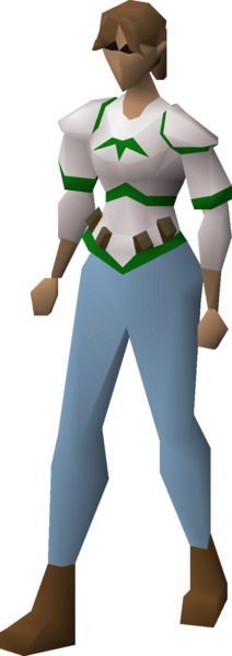File:Guthix robe top equipped female.png