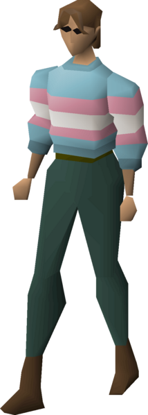 File:Colourful jumper (transgender) equipped female.png
