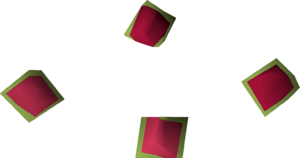 Dragonfruit tree seed 4 detail.png