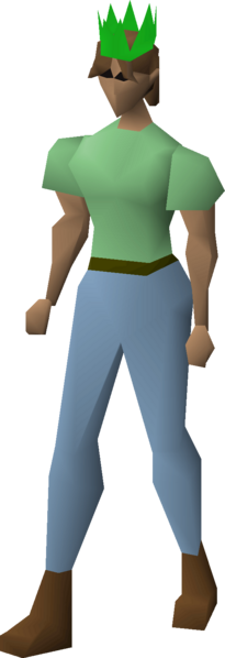 File:Green partyhat equipped female.png