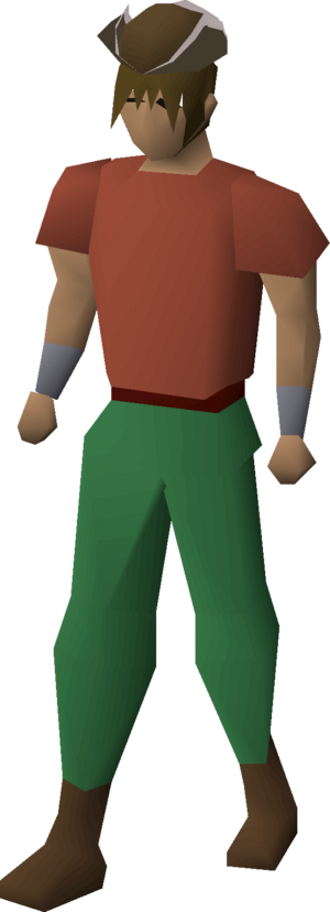 Brown tricorn hat equipped male.png