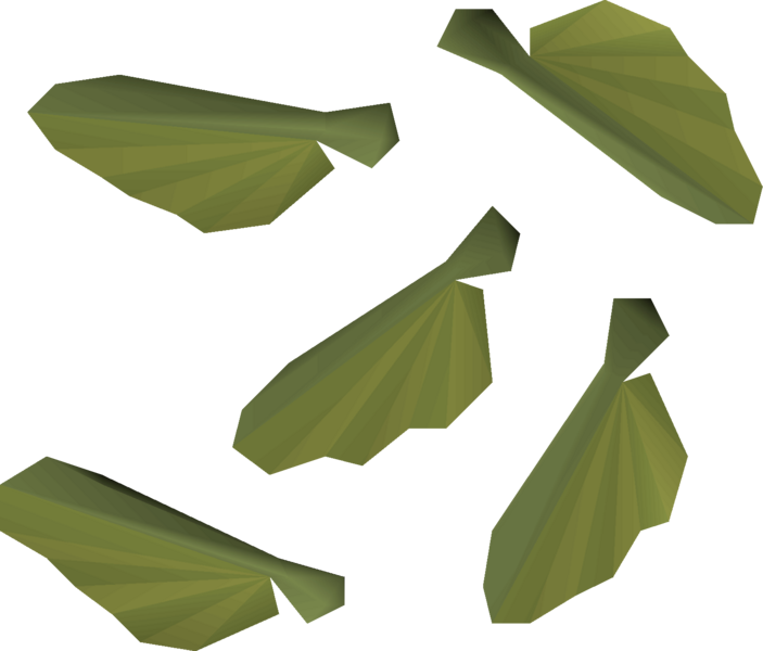 File:Maple seed detail.png