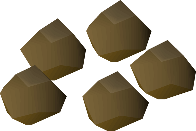 File:Yew seed detail.png