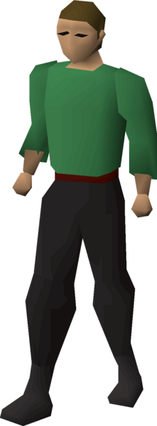 File:Dni23 arms thin equipped male.png